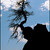The Thinker on a Rock