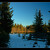 Forest light