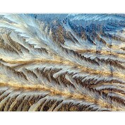 Mrazivá kouzla paní Zimy II.