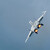 MIG 29
