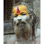 Sadhu 2 ...