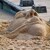 Hlava v písku