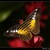 A zase motyl :)