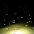 Other Galaxy