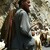 Starý Paštun a kozy na Karakoram Highway