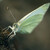 Windsurfer
