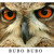 Bubo bubo