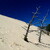 Dune de Pyla