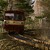 face to wagon