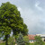 Walddorf