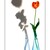 ...  Lying tulip ... ? ...