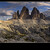 Tree Cime