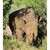 Kenya - Stretnutie s nosorožcom