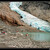 Briksdalsbreen