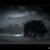 Storm II