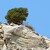 Alone on the Rock