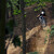 Freeride