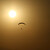 Paraglider