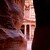 Petra