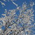 winter day