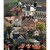 Střechy a stříšky