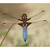 Libellula depressa