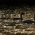 Labuť veľká (Cygnus olor)
