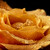 Orange Rose