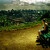 paralyze view