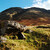 Skotsko - cesta na Ben Nevis
