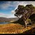 Loch Maree III