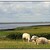 Cuxhaven