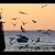 Rovinj...