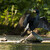 kormoran