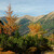 Hlinská dolina /Vysoké Tatry/