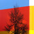 Zelená taky bude (možná na jaře)