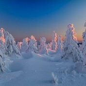 Zamrzlá krajinka při východu slunce