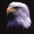 Redeagle