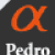 Pedro 7