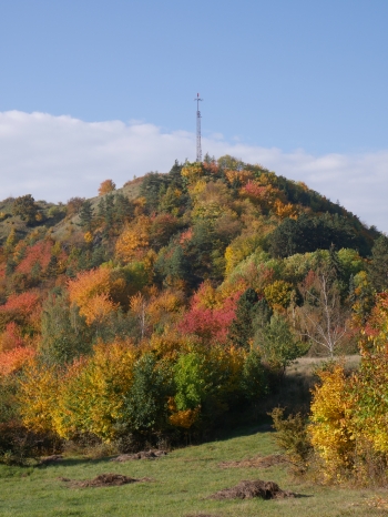 F9.0, 1/250 s, ISO: 200, f=60 mm (35mm ekv.)