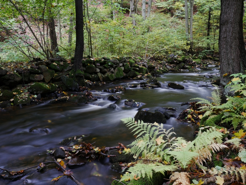 F8.0, 6.0 s, ISO: 200, f=28 mm (35mm ekv.)