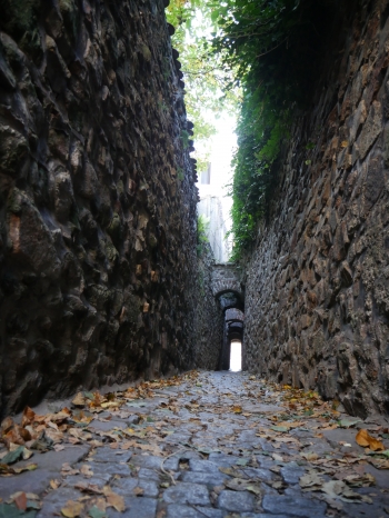 F3.5, 1/60 s, ISO: 1000, f=28 mm (35mm ekv.)