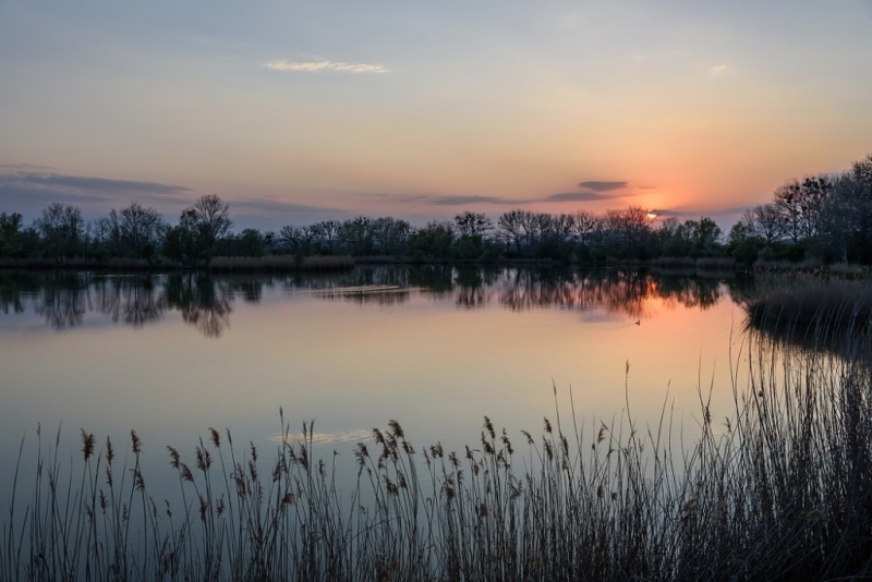 Šutrák 23-04-2015