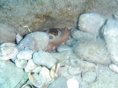 F7.1, 1/210 s, ISO: 100, f= (35mm ekv.), Vyrovn?n? b?l?: Automatick? 