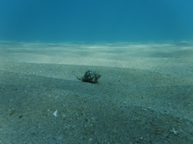 F6.2, 1/300 s, ISO: 100, f= (35mm ekv.), Vyrovn?n? b?l?: Automatick? 