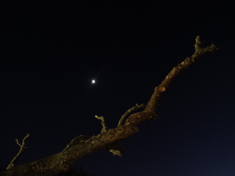 E-M1MarkII , OLYMPUS M.12-40mm F2.8, ISO 3200, F3.5, 1/13 s, 12.00 mm, WB Automatické, kompenzace -2EV | Jakub Súkeník | (C) Jakub Súkeník E-M1MarkII , OLYMPUS M.12-40mm F2.8, ISO 3200, F3.5, 1/13 s, 12.00 mm, WB Automatick?, kompenzace -2EV