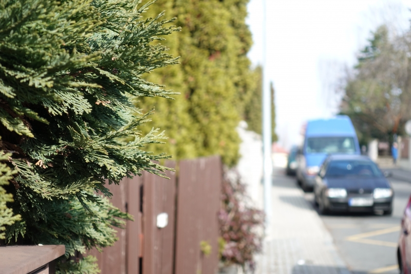 DSC-RX100M5, , 25.70 mm, F2.8, ISO 125, 1/400 s, komp. exp. 0, Blesk: Ne, JPEG