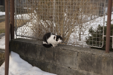 24.0-70.0 mm f/2.8, NIKON D610, 70.00 mm, 5.0, 100, 1/60 s, WB Automatické | (c) Jan Pánek