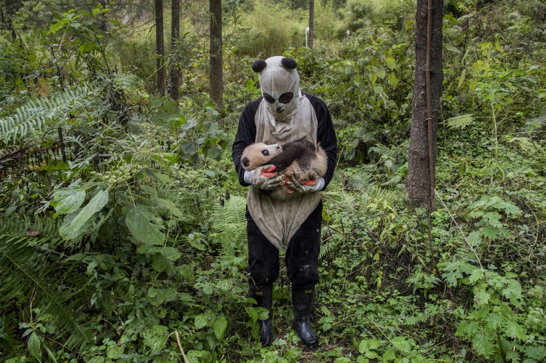 © Ami Vitale, United States of America, 2nd Place, Professional, Natural World, 2017 Sony World Photography Awards