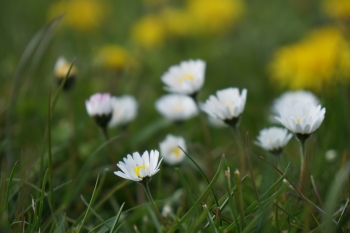 ISO: 100, 1/500 s, F4.0, objektiv E 16-70mm F4 ZA OSS při 70.00 mm | © Petr Koritina ISO: 100, 1/500 s, F4.0, objektiv E 16-70mm F4 ZA OSS p?i 70.00 mm